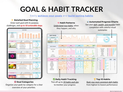 The All-In-One Life Planner 2.0